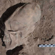 Illustration for article titled Deformed skulls discovered in 1,000-year-old Mexican cemetery